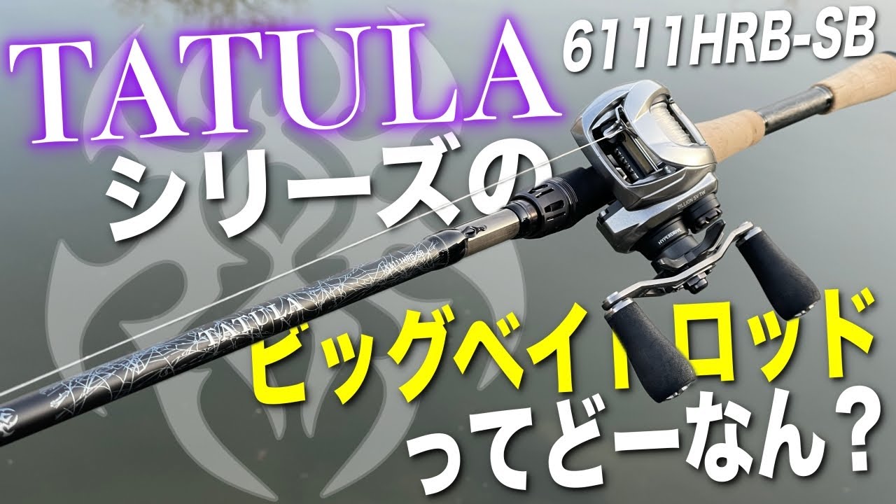 新たなハイコスパビッグベイトロッド登場！？タトゥーラシリーズのビグベ専用ロッドを使った結果。[TATULA 6111HRB-SB]