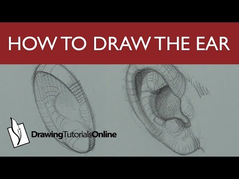 How To Draw The Ear