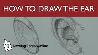How To Draw The Ear