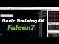 Basics Training Of Falcon7