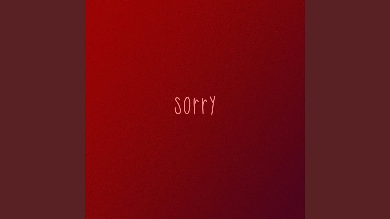 YouTube에서 Sorry 보기 YouTube에서 Sorry 보기