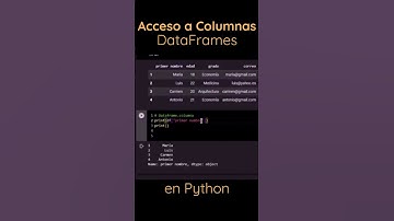 Acceso a Columnas de un DataFrame #python #aprenderpython #dataframe #programacion