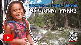 Sequoia & Kings Canyon National Park Adventure | Three Rivers, California