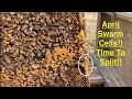 My First Hive Split!  Layens hive 1 becomes 1 and 2!
