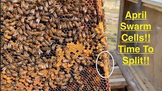 My First Hive Split!  Layens hive 1 becomes 1 and 2! by Jerfish Entertainment, Music, Sailing, and Farms 688 views 2 years ago 6 minutes, 3 seconds