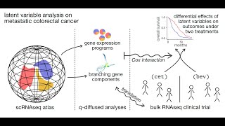 Ver Steeg and Marmarelis: “Latent Factor Discovery with Transcriptomics Data”