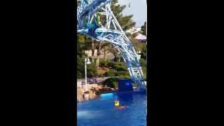 Seaworld Best Synchonized Cirque Du Soleil Dance Shows San Diego