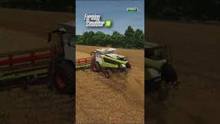 Massive Wheat Harvest 🌾 | CLAAS LEXION 6900 | Carpathian Countryside | FS25