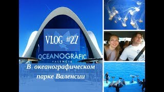 VLOG ♥ Океанографический парк Валенсии Oceanografic VLOG ♥ Океанографический парк Валенсии Oceanografic