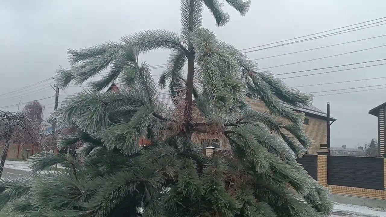 Крымск обледенел после дождей 