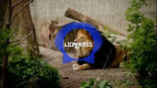 Deep Hat Vibe Tracks (LION BASS)