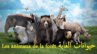أصوات و أسماء الحيوانات بالعربية و الفرنسية animaux français arabe