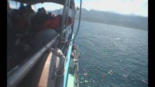 台籍老兵許昭榮海葬儀式-2