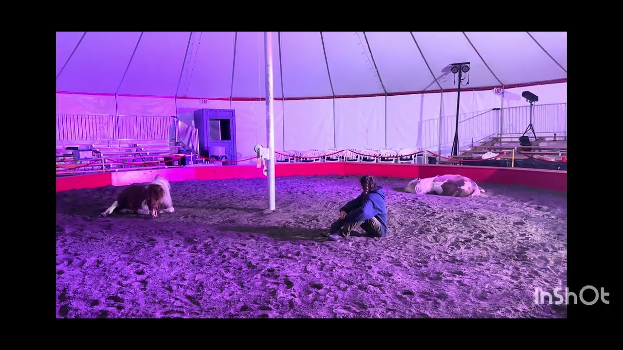 The riding act fair show 