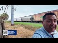 Union Pacific Cleans Up Overgrown Vegetation Along Southeast Houston Rail Line