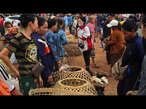 ตลาดนัดใหญ่ที่สุด..บ้านดอนตะลาด#เที่ยวลาวใต้