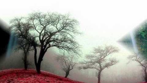 سورة البروج بصوت رائع