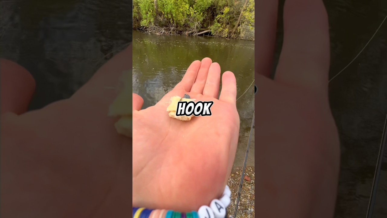 Fishing with BREAD 🐟🎣 