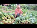 Expecting mum harvest Kohlrabi for cooking - crisp, crunchy Kohlrabi recipe - Cooking with Sreypov