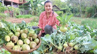 Expecting mum harvest Kohlrabi for cooking - crisp, crunchy Kohlrabi recipe - Cooking with Sreypov