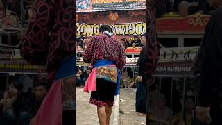 Download Lagu Gea Ayu MP3