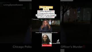 Murderer’s Revenge: The Shocking Mugshot That Haunts Chicago