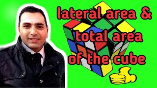 6th prim lateral area and total area of a cube 2nd term