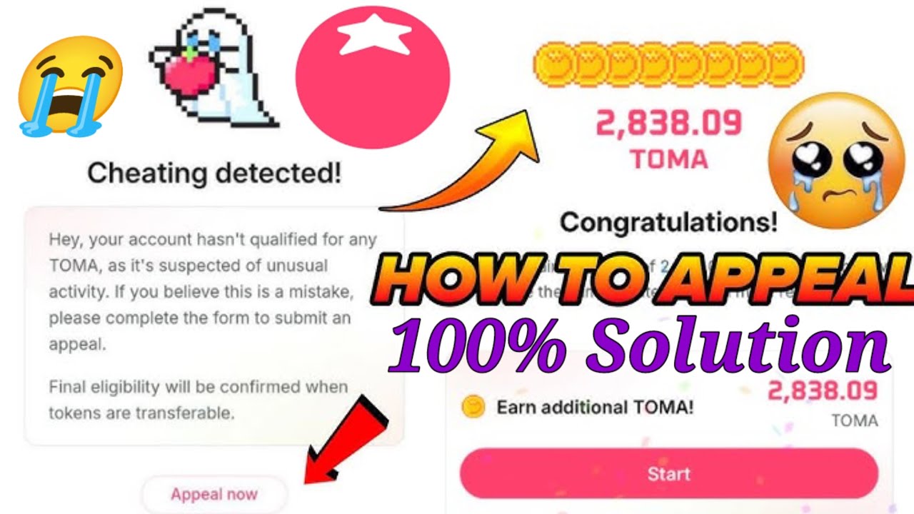 Tomarket 🍅 Cheating detected Appeal form | Tomarket tomato $TOMA Token Withdrawal Sybil Appeal form