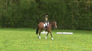 TameraBay Dressage Broadway BE100.mpg