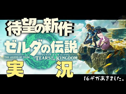 【 ゼルダの伝説 】空に浮かぶ神殿！？ラ〇ュタは本当にあったんだ…！  ティアーズオブ ザ キングダム　【一縷世界】part.10
