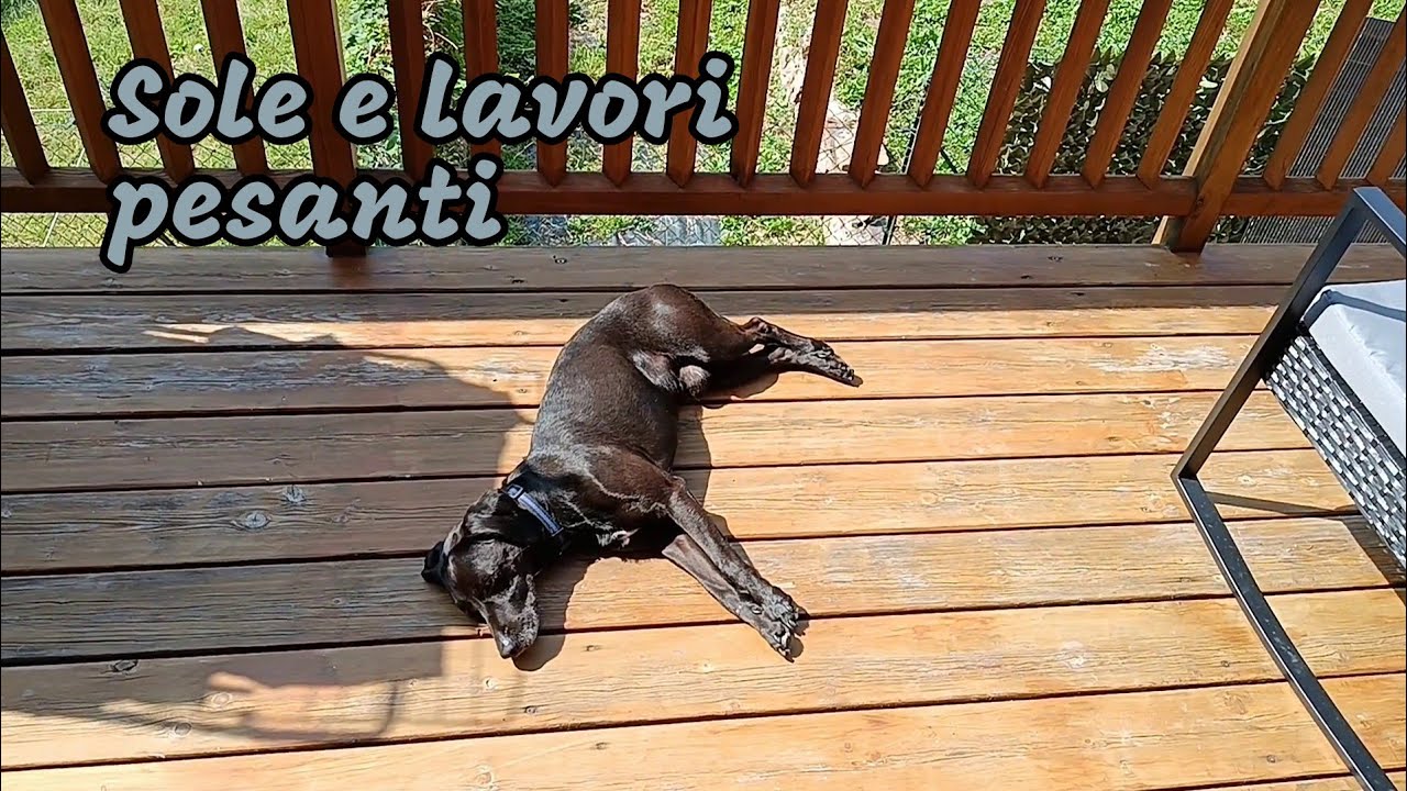 ASMR VLOG: 12/9 - 17/9 burocrazia, lavori in casa e riflessioni 📝🪣🏡 Denny Asmr