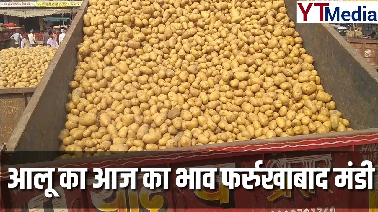 6 February // आज का आलू का भाव// Potato rates today//Ptato price today