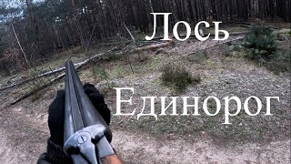 ТАКОГО лося единорога я не видел! Прицельные выстрелы. Охота на лося.