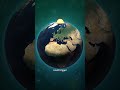 What If WW3 Starts Tomorrow? 🌍💣