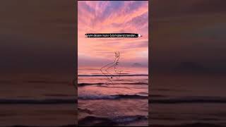 İyiyim Desem İnanır Öyle Habersiz Benden Instagram Whatsapp Kısa Durum Videoları