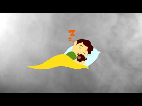 PaJo -  ცუდი კატა ( Diss  kayakata  Polo Palace )