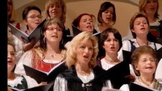 Stille Nacht - Der Singkreis Porcia Spittal