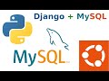 How to connect mysql database with django project in ubuntu 2204 lts