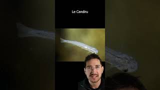 TIER LIST OF THE WORST HUMAN PARASITES #science #unusual