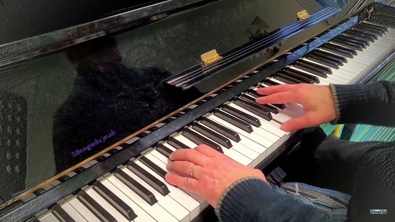 Siboogiedujeudi - Bluedid