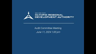 NYS ORDA Audit Committee Meeting June 11, 2024 1:00 pm