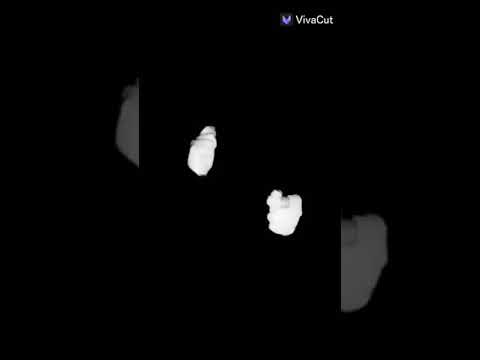 ٨ أكتوبر ٢٠٢١