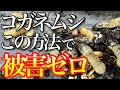 【被害ゼロ!?】視聴者から教えてもらったコガネムシの幼虫の防除・対策を紹介します