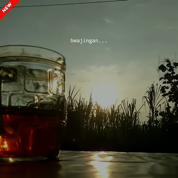 story wa bakul sabu los ( sari tebu ) gokil