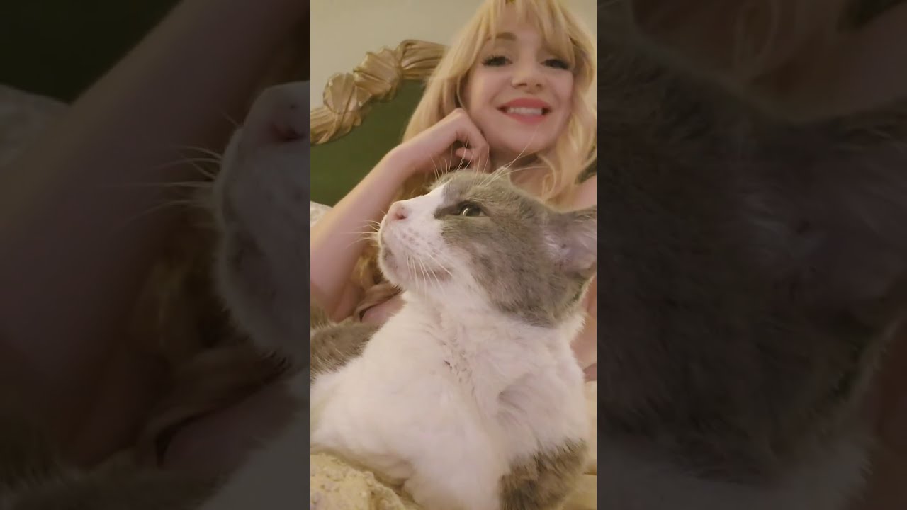 Mae West - My Fur Baby - Now my Angel