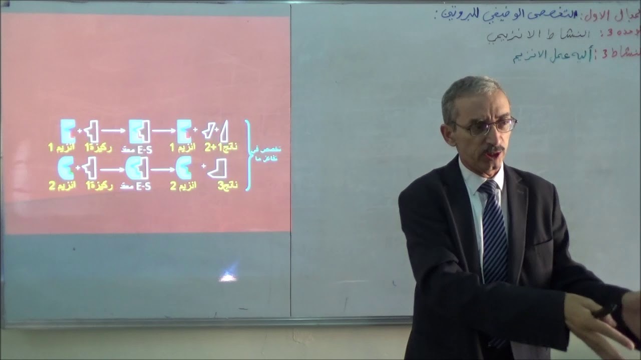 النشاط الانزيمي النشاط 3  آلية عمل الأنزيمي