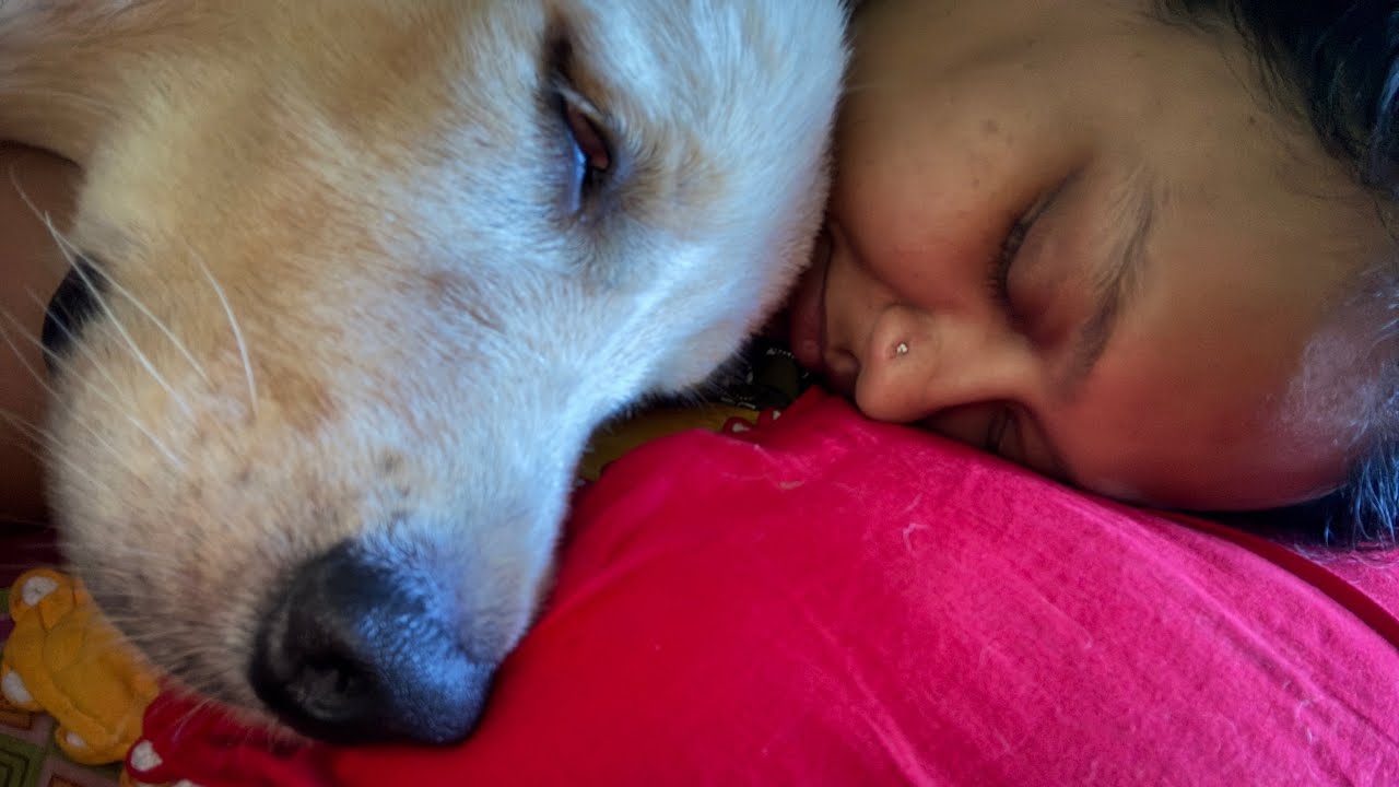 আজ সারাদিন ঘরে ছিলাম তাই একটু আড্ডা দিলাম 