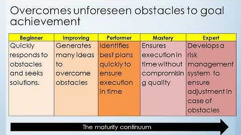 Mini Lesson: Execution Excellence (Managerial Competency Overview)