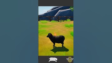 Unreal Engine 5 Ragdoll Physics Test