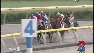 [レースリプレイ] 080906 3新潟7 03R